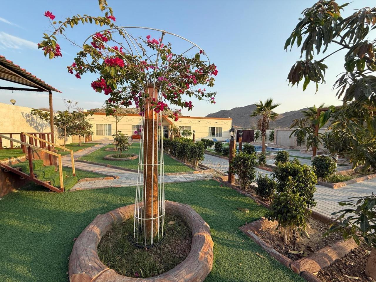 800 Mountain Resort Vacation House Fujairah Luaran gambar